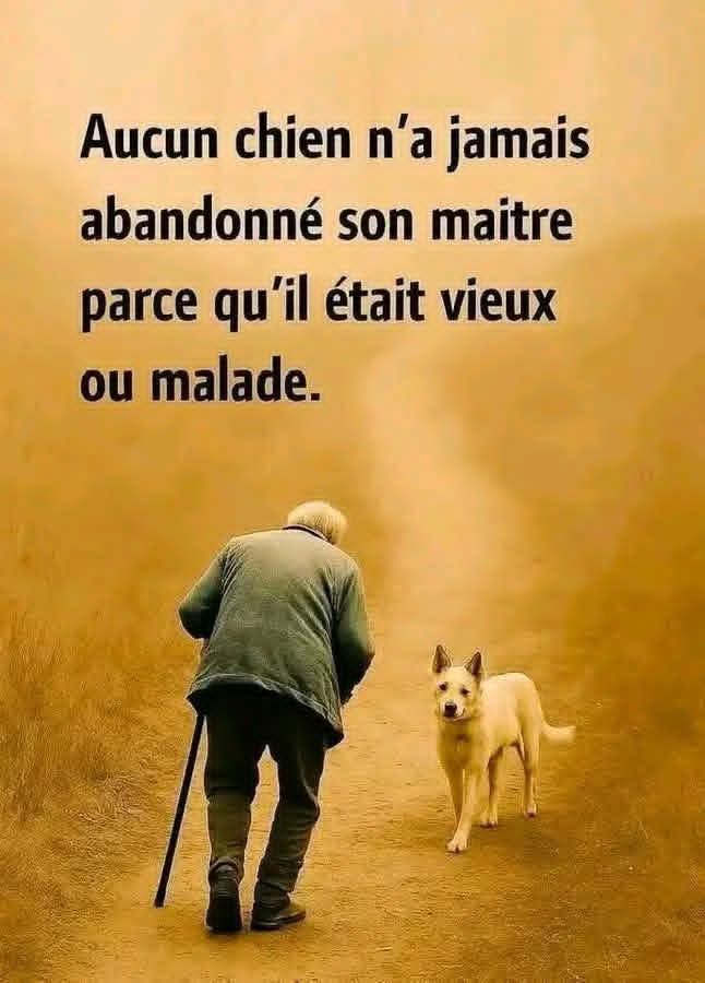 LES PROBLÈMES N'ONT PAS DE RELATIONS, C'EST LA RICHESSE ET L'ARGENT QUI ONT BEAUCOUP DE RELATIONS AVEC LES FAMILLES ÉLARGIES