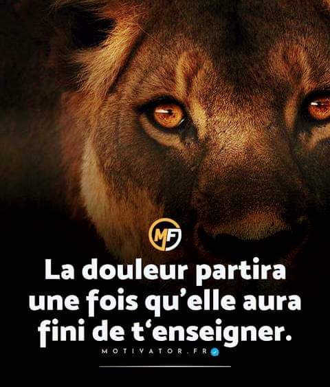 Les seules limites qu'il y a dans nos vies sont celles que nous nous imposons
