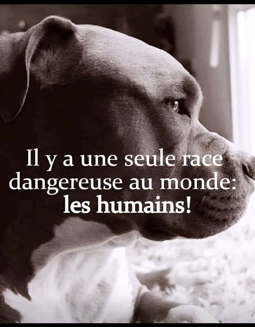 Faites attention à qui vous faites confiance